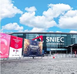 2019年上海鞋業oem貼牌代工展